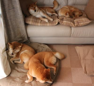 kaiyun网站-“2025世界运动会：六人制袋棍球展现极速与战术”