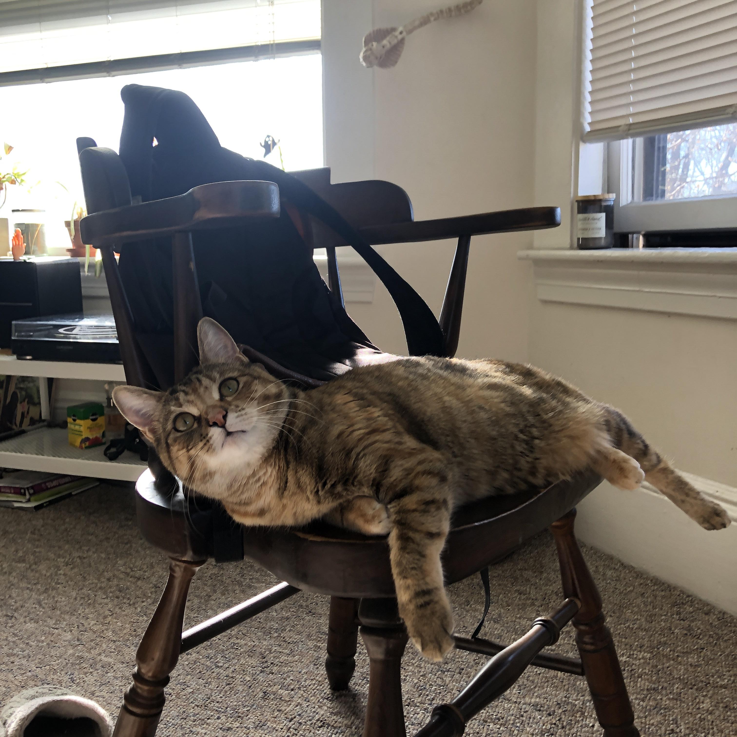 中国女篮在技术会议上积极讨论战术细节,中国女篮战术分析