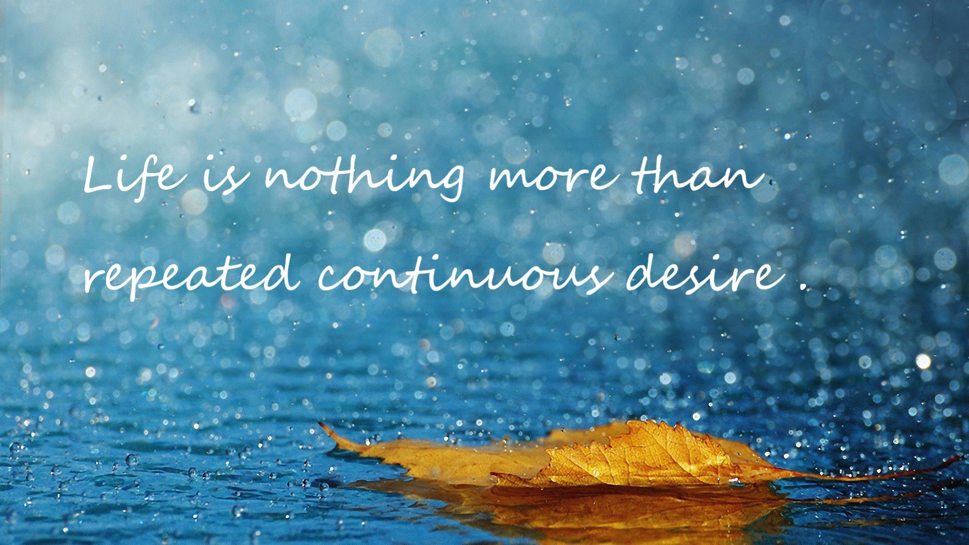 切尔西球员伤病控制得当,保持全员健康,切尔西的球星