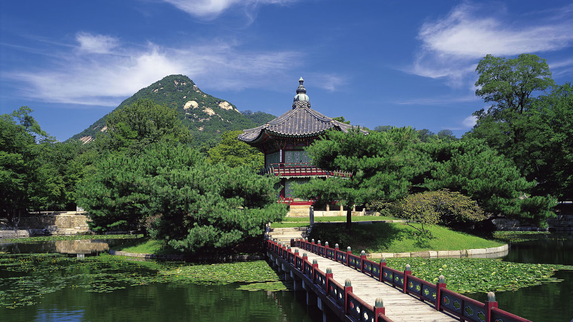 国际乒联混合团体世界杯:加拿大队如何与强队抗衡,加拿大乒乓球男女混合