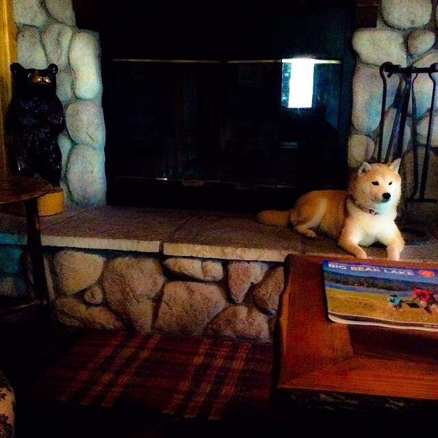 观众评价系统纳入官方反馈渠道,观众有没有评价权