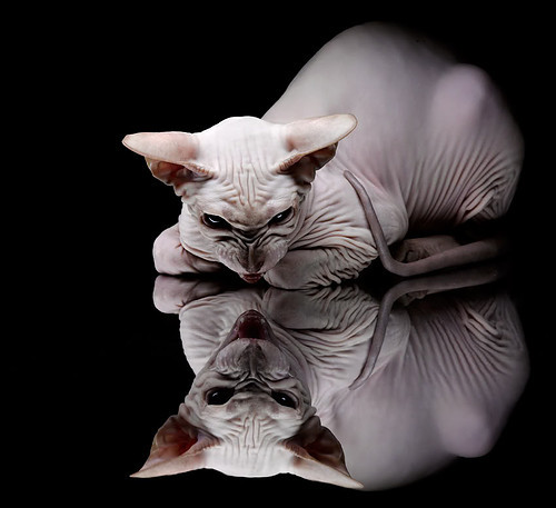 乌干达男篮在非洲预赛中奋勇拼搏,正式迈入国际赛场,乌干达篮球全国联赛