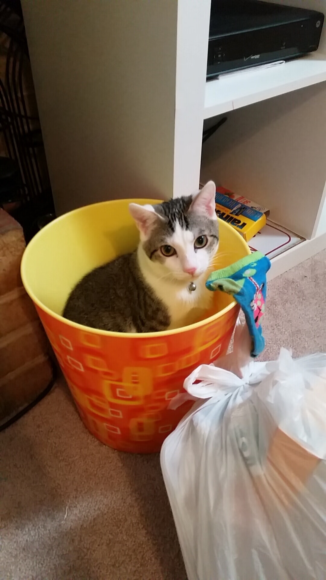 kaiyun.com-坦桑尼亚女篮在非洲锦标赛中奋勇争锋，争创佳绩