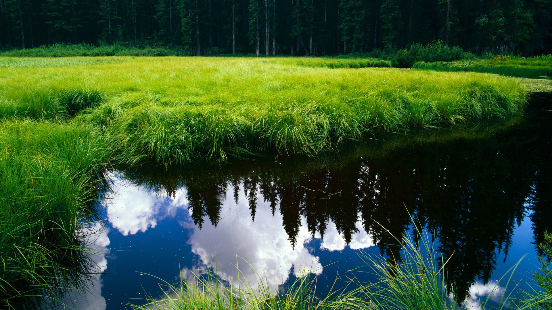 李娜状态回归巅峰网球公开赛,李娜网球赛视频完整版