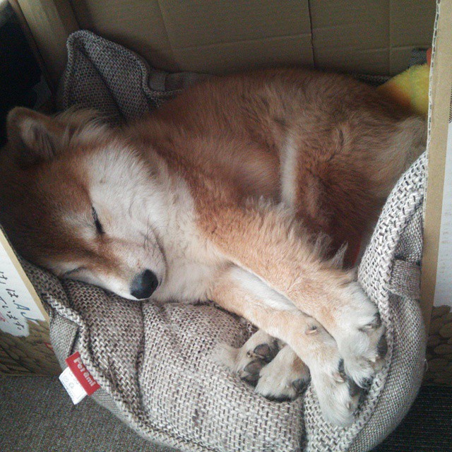 科贝特赛后分享训练秘诀与心路历程,科贝特给年轻人的忠告