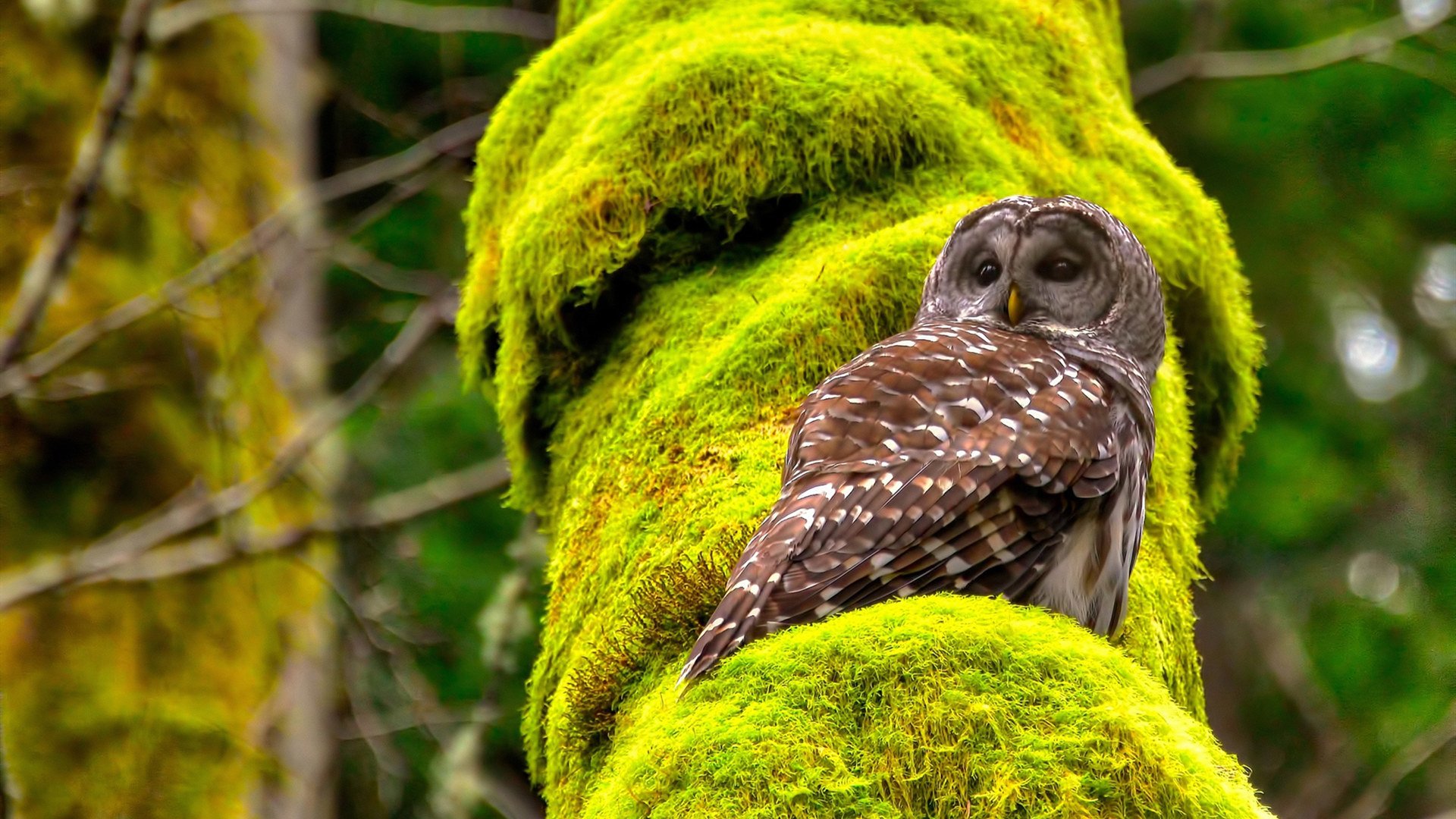 kaiyun官方网站-中国足球是否能够制定人才输出标准路径，中国足球人才储备