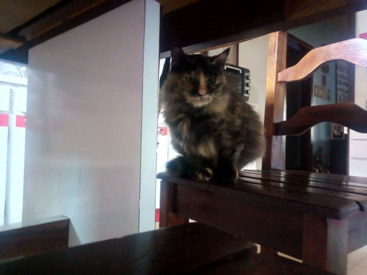 kaiyun体育app-中国足球职业联赛促进足球文化传播，中国足球职业化探索