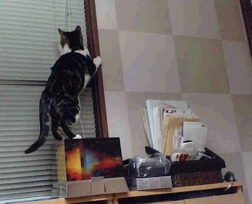 开云官方网站-中国足球联赛中观众票价可接受区间与门票政策设计，中国足球门票多少钱