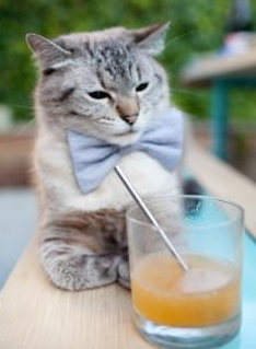 Kaiyun APP-中国足球运动员的职业规划，足球运动员职业规划书